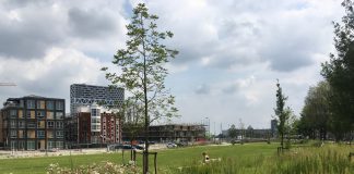 Groene ruimte in nieuw park Houthaven
