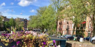 Da Costakade moet volledig op de schop