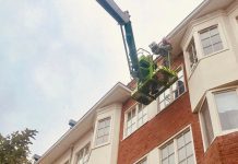 Kasten voor gierzwaluwen in De Baarsjes