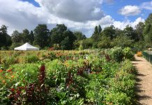 Open dag schooltuinen West en Nieuw-West