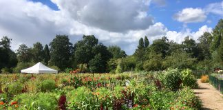 Open dag schooltuinen West en Nieuw-West