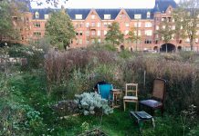 Tuinen weg voor nieuwbouw Spaarndammerbuurt