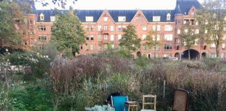 Tuinen weg voor nieuwbouw Spaarndammerbuurt