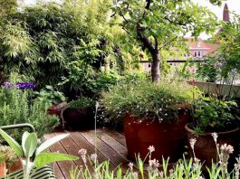 Prijzen voor groene daken en balkons