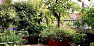 Prijzen voor groene daken en balkons