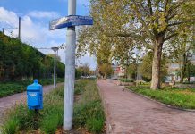 Hoe gestresst raakt konijn dat moet verhuizen uit Domelaplantsoen?