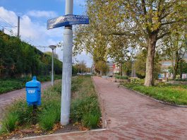 Hoe gestresst raakt konijn dat moet verhuizen uit Domelaplantsoen?
