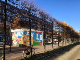 Opknapbeurt voor Gulden Winckelplantsoen