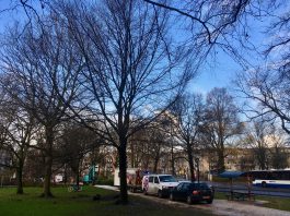 Bomen verplaatst vanwege ingang parkeergarage