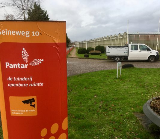 Tuinderij Pantar op weg naar duurzame teelt bloemen en planten