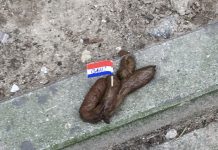 Postbode ergert zich aan hondendrollen en neemt maatregelen