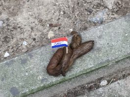 Postbode ergert zich aan hondendrollen en neemt maatregelen