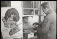 Stadsdeel komt met cursus rattenbestrijding