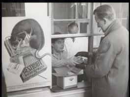 Stadsdeel komt met cursus rattenbestrijding