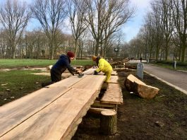 Nieuwe picknicktafel en nog meer hout voor thuis