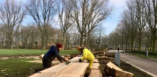 Nieuwe picknicktafel en nog meer hout voor thuis