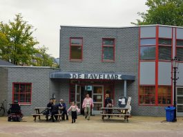 De Havelaar bestaat 40 jaar (en viert feest!)