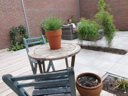 Ook Nieuw-West bindt de strijd aan tegen betegelde tuinen