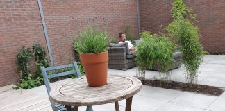 Ook Nieuw-West bindt de strijd aan tegen betegelde tuinen