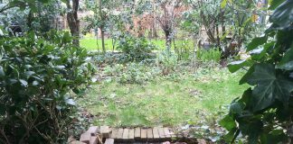 Tuin volleggen met tegels mag niet meer in Oud-West