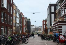 Baasjes willen plek voor hond in Houthaven