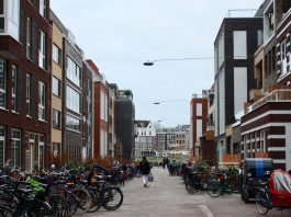 Baasjes willen plek voor hond in Houthaven