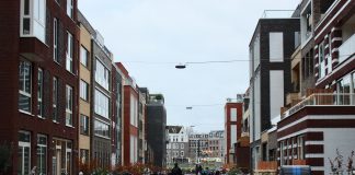 Baasjes willen plek voor hond in Houthaven