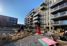 Lente! Tom en Sam zetten je balkon in bloei