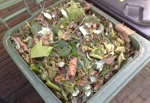 VVD Nieuw-West wil groenbakken voor GFT-afval terug