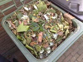 VVD Nieuw-West wil groenbakken voor GFT-afval terug