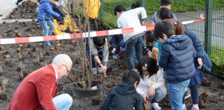 Nieuw parkje bij spoor bij metrohalte Postjesweg