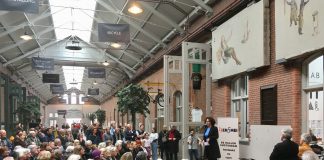 Herdenken en vieren met De Hallen