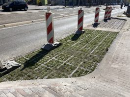 ‘Groen’ parkeervak op de Overtoom