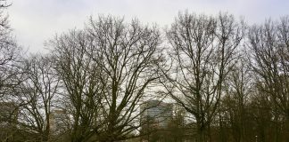 Sluiting parken dreigt bij te grote drukte