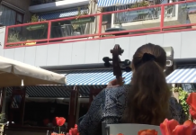 Celliste speelt voor bewoners Nieuw Vredenburgh in De Baarsjes