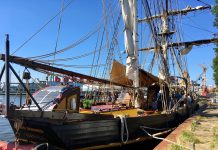 Dolfijn moet weer weg uit West