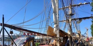 Dolfijn moet weer weg uit West