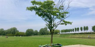 ‘Ondergrondse containers tegen afvaloverlast Westerpark’