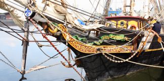 Dolfijn weggelokt uit West en terug naar zee