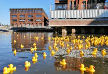 Water in nieuwe gracht Houthaven gevierd met badeendjes