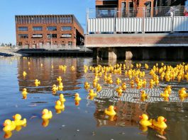 Water in nieuwe gracht Houthaven gevierd met badeendjes