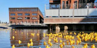 Water in nieuwe gracht Houthaven gevierd met badeendjes