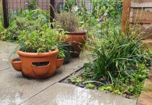 Stadsdeel start ’tegelservice’