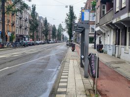 Bewoners willen van Admiraal de Ruijterweg ‘ecoboulevard’ maken
