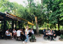 Ook Druis in het Bilderdijkpark stopt ermee