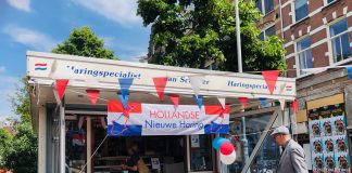Waar je lekker een Hollandse Nieuwe hapt