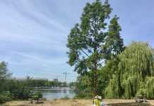 Buurtbewoners willen Sloterpark met minder afval