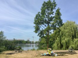 Buurtbewoners willen Sloterpark met minder afval