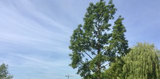 Buurtbewoners willen Sloterpark met minder afval