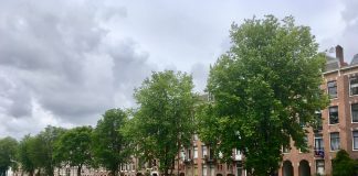 Bomen gekapt voor herstel Jacob Catskade